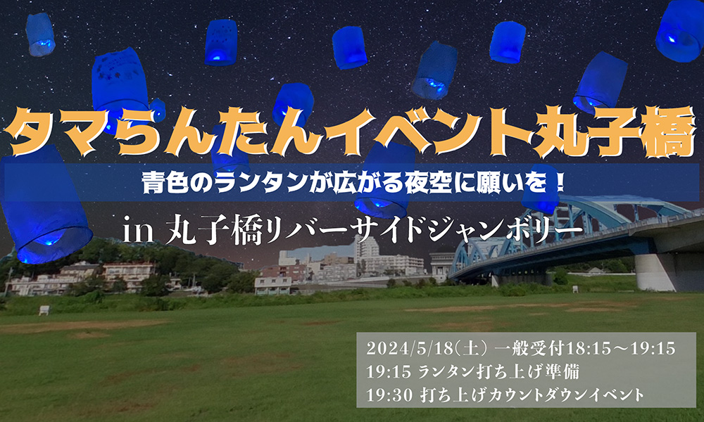 ラプンツェルの有名なシーンでもあるランタンを一斉に打ち上げるe-ランタンイベント