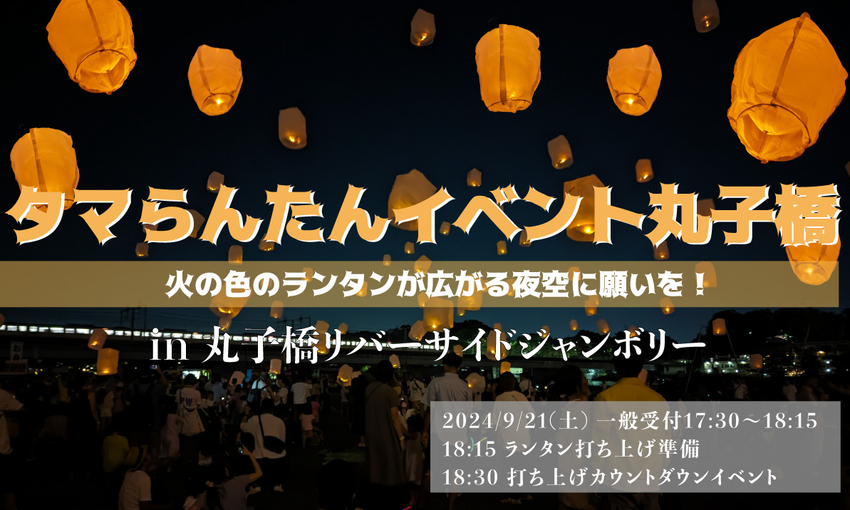 ラプンツェルの有名なシーンでもあるランタンを一斉に打ち上げるe-ランタンイベント